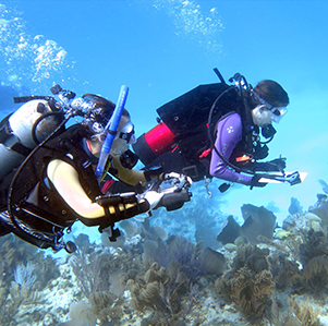 Underwater unmanned submarine with camera equipment and lights